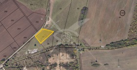 ������ ������� ������