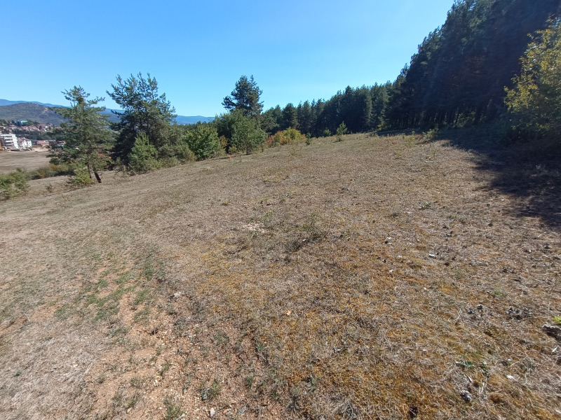 Продава ЗЕМЕДЕЛСКА ЗЕМЯ, гр. Велинград, област Пазарджик, снимка 10 - Земеделска земя - 52623400