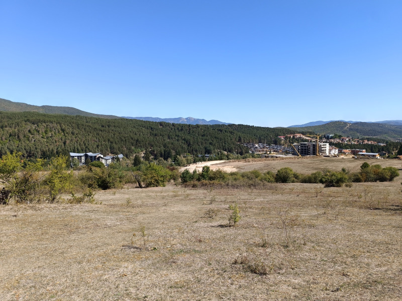 Продава ЗЕМЕДЕЛСКА ЗЕМЯ, гр. Велинград, област Пазарджик, снимка 2 - Земеделска земя - 52623400