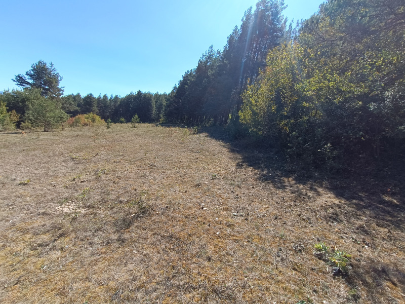 Продава ЗЕМЕДЕЛСКА ЗЕМЯ, гр. Велинград, област Пазарджик, снимка 8 - Земеделска земя - 52623400