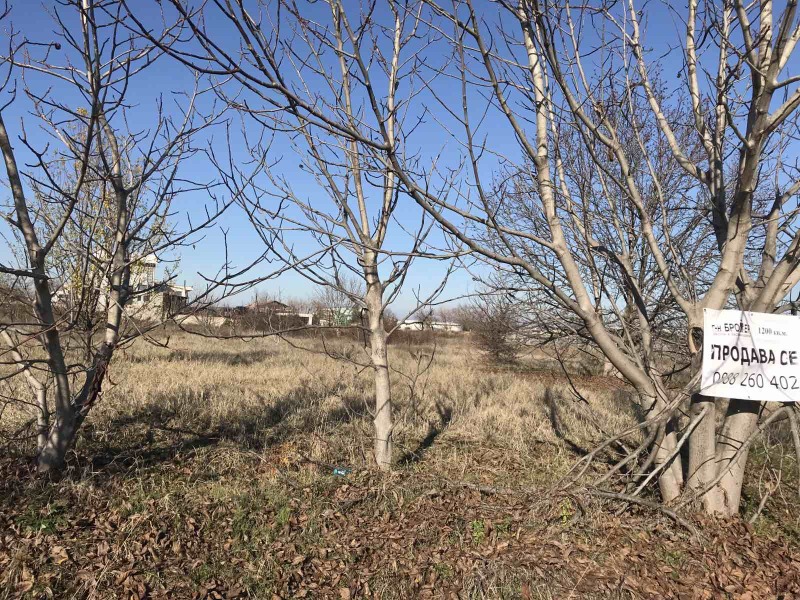 Продава ЗЕМЕДЕЛСКА ЗЕМЯ, гр. Асеновград, област Пловдив, снимка 2 - Земеделска земя - 52756684