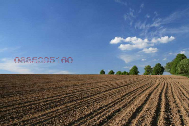 Продава ЗЕМЕДЕЛСКА ЗЕМЯ, гр. Русе, област Русе