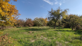 Hus Dobri djal, region Veliko Tarnovo 9