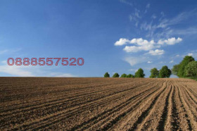 Продава ЗЕМЕДЕЛСКА ЗЕМЯ, гр. Генерал Тошево, област Добрич