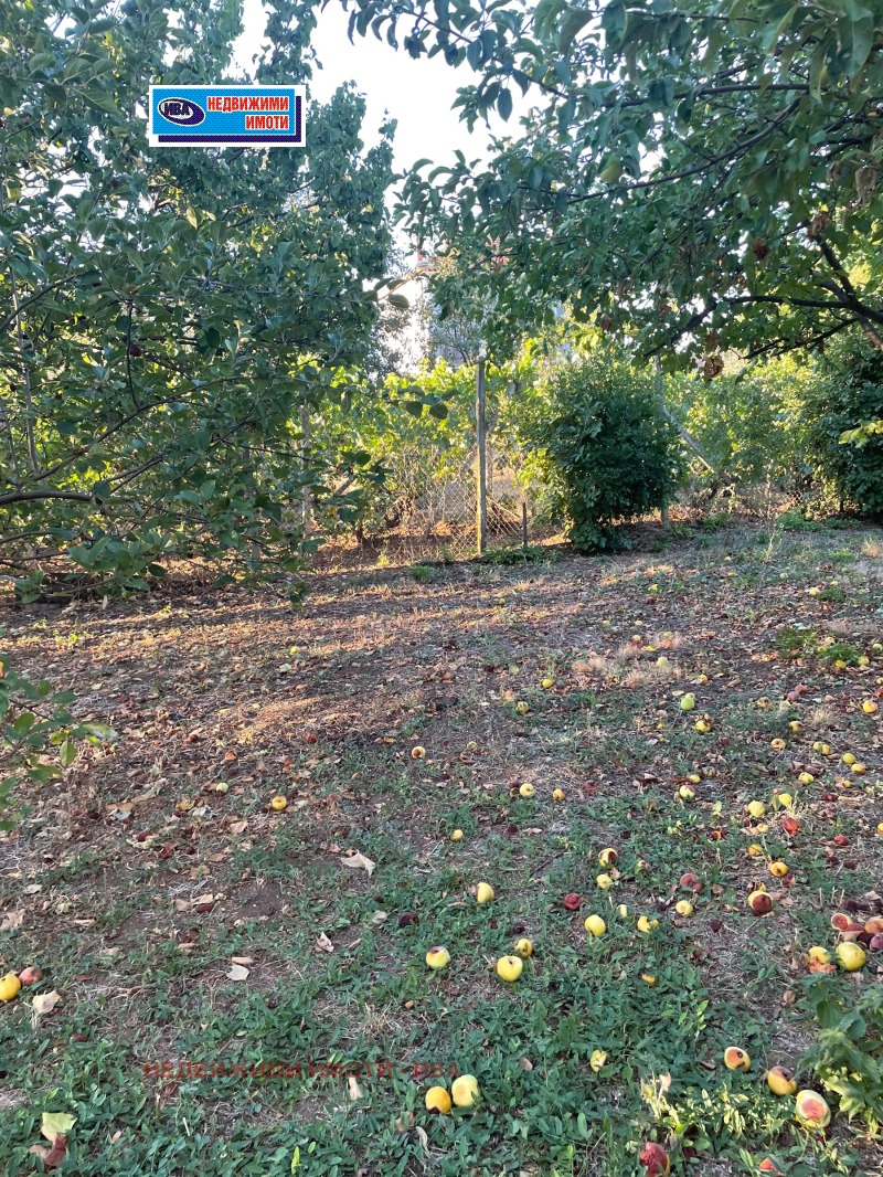 Продава  Етаж от къща област Велико Търново , с. Първомайци , 220 кв.м | 95855346 - изображение [17]