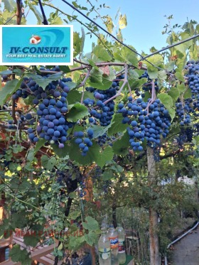 ������� ���� | Imot.bg � ����� ������ 14