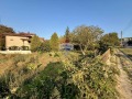 Продава ПАРЦЕЛ, с. Кранево, област Добрич, снимка 5