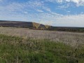 Продава ПАРЦЕЛ, с. Рогачево, област Добрич, снимка 7