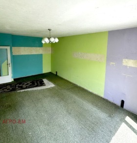 Studio Mladost, Vraca