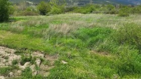 ����� ������� ������,��. ����� ����, ������ ������