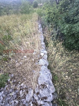 ������� ������ | Imot.bg � ����� ������ 11