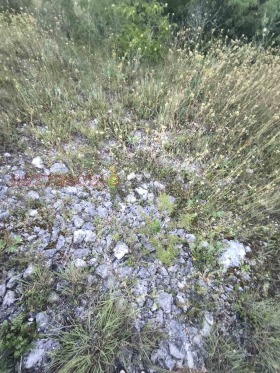 ������� ������ | Imot.bg � ����� ������ 13