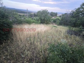 ������� ������ | Imot.bg � ����� ������ 14