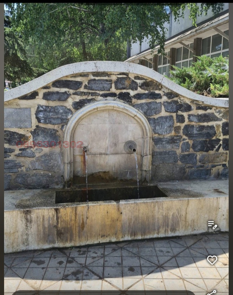 Продава ЗАВЕДЕНИЕ, с. Невестино, област Кюстендил, снимка 3 - Заведения - 52782450