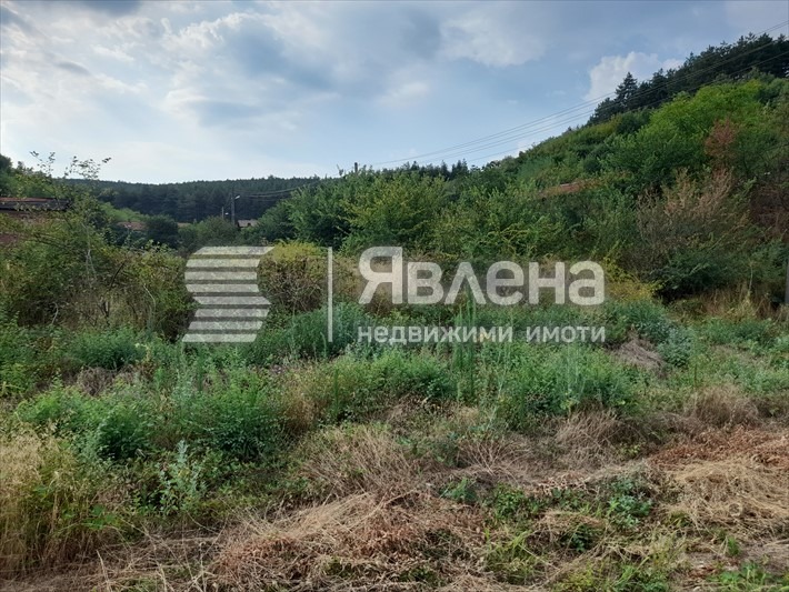 Продава ПАРЦЕЛ, с. Дебръщица, област Пазарджик, снимка 4 - Парцели - 47401066