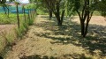 Продава  Парцел област Стара Загора , гр. Казанлък , 490 кв.м | 93000767 - изображение [4]
