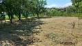 Продава  Парцел област Стара Загора , гр. Казанлък , 490 кв.м | 93000767 - изображение [2]