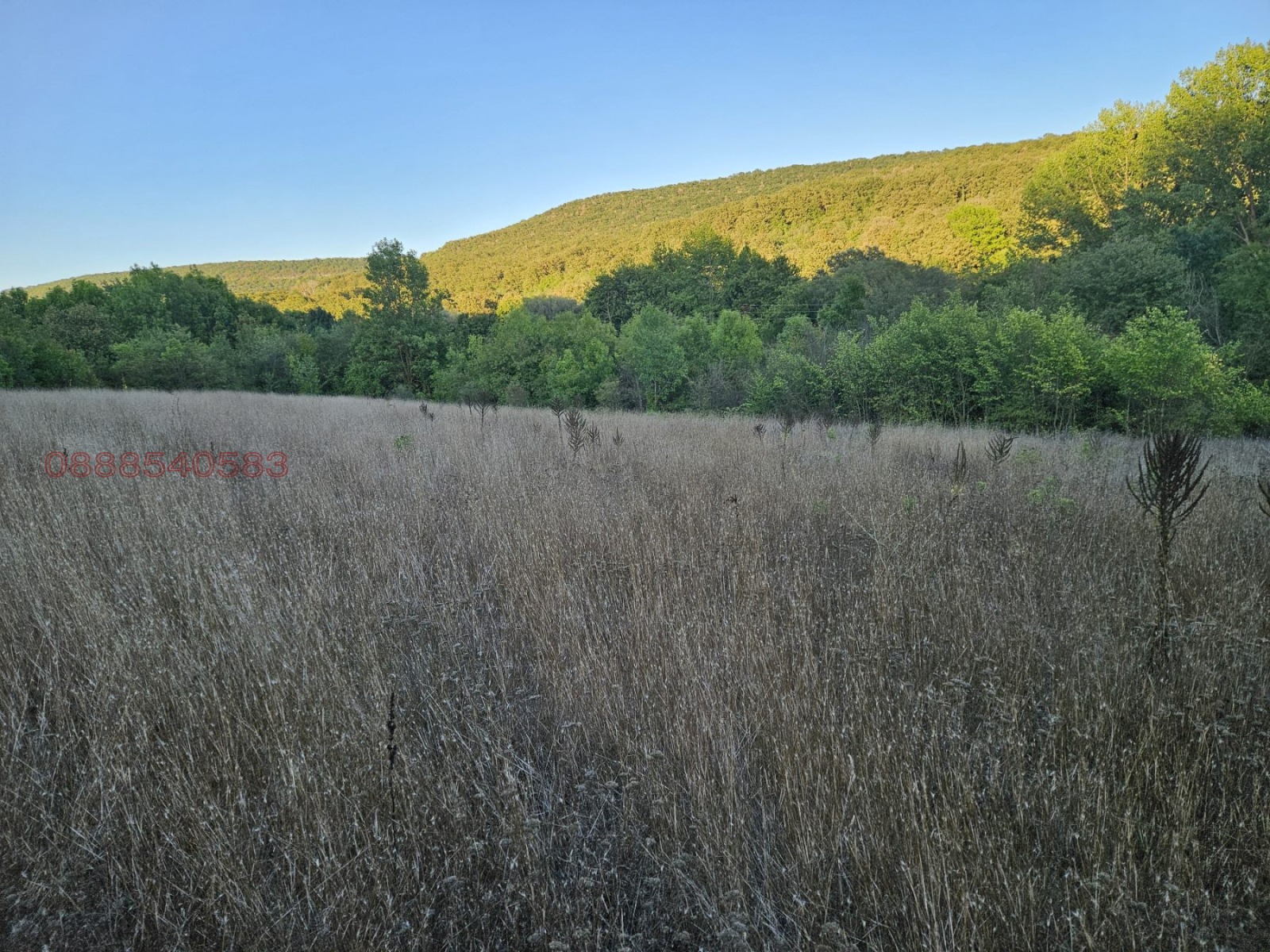 Продава ПАРЦЕЛ | Imot.bg — изображение 4