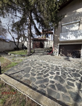 ����� ������� ����,���� ������, ������