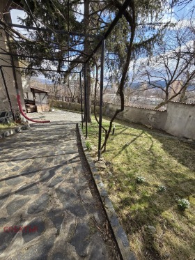 ����� ������� ����,���� ������, ������>