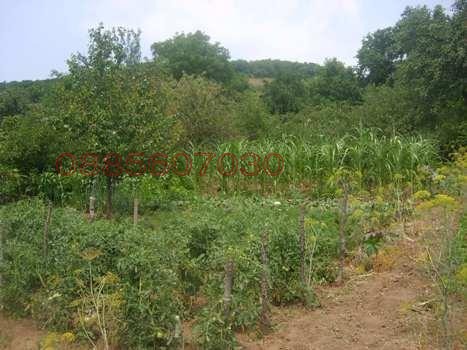 Продава КЪЩА, с. Хлевене, област Ловеч, снимка 9 - Къщи - 52785737