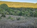 Продава ПАРЦЕЛ, област Варна, с. Долище • 75000 лв. • 85339165 — Holmes.bg