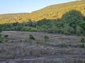 Продава ПАРЦЕЛ, област Варна, с. Долище • 75000 лв. • 85339165 — Holmes.bg