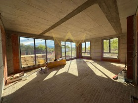 ����� ������� ����,���� �������, ����������