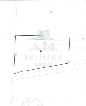 ����� ������� ������,���� �������, ����������