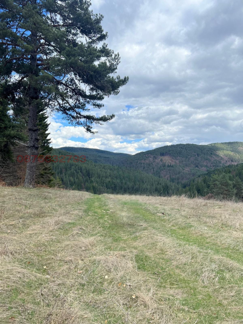 Te koop  Verhaallijn regio Blagoëvgrad , Satovtsja , 1600 m² | 72831611 - afbeelding [10]