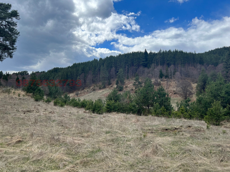 Te koop  Verhaallijn regio Blagoëvgrad , Satovtsja , 1600 m² | 72831611 - afbeelding [13]