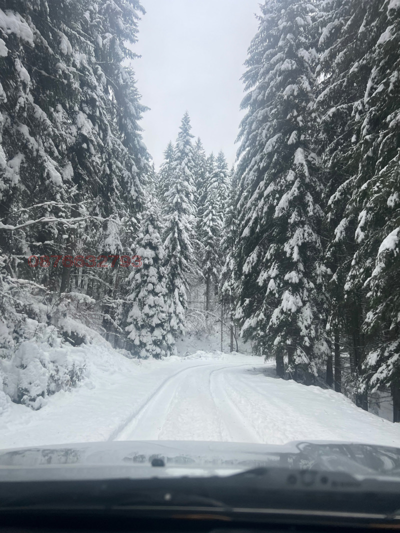Te koop  Verhaallijn regio Blagoëvgrad , Satovtsja , 1600 m² | 72831611 - afbeelding [8]