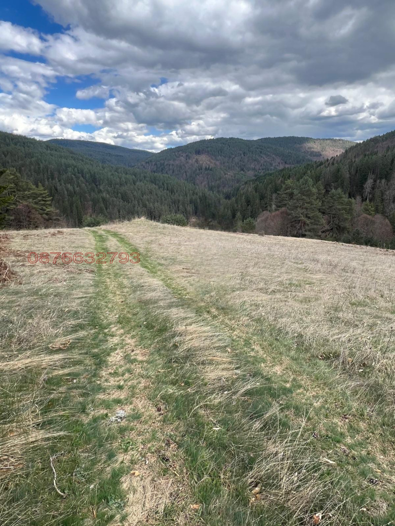 Te koop  Verhaallijn regio Blagoëvgrad , Satovtsja , 1600 m² | 72831611 - afbeelding [11]
