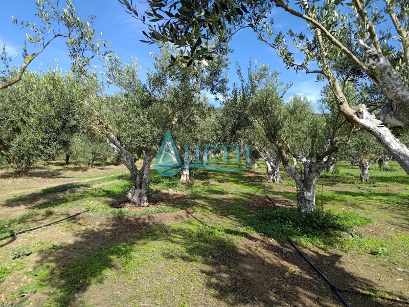 Продава ПАРЦЕЛ, Извън страната, област Извън страната, снимка 6 - Парцели - 52638296