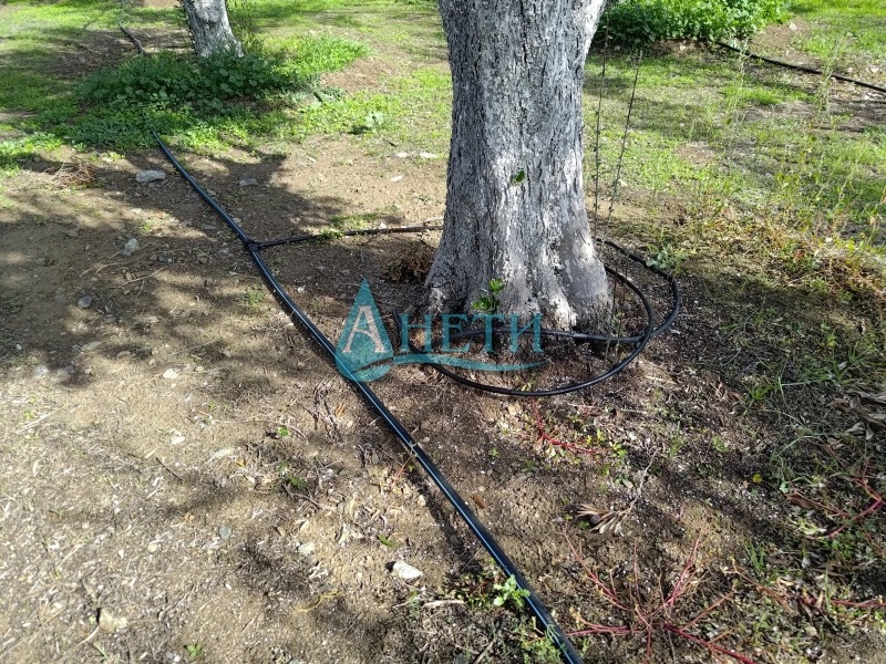 Продава ПАРЦЕЛ, Извън страната, област Извън страната, снимка 3 - Парцели - 52638296