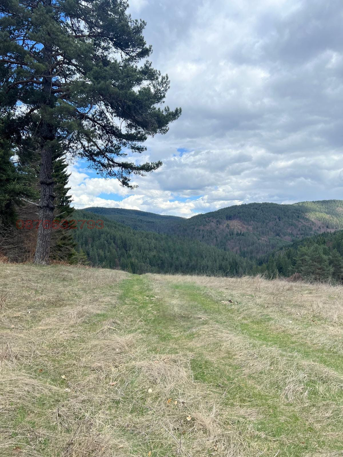 Продава ПАРЦЕЛ, с. Сатовча, област Благоевград, снимка 9 - Парцели - 54024973