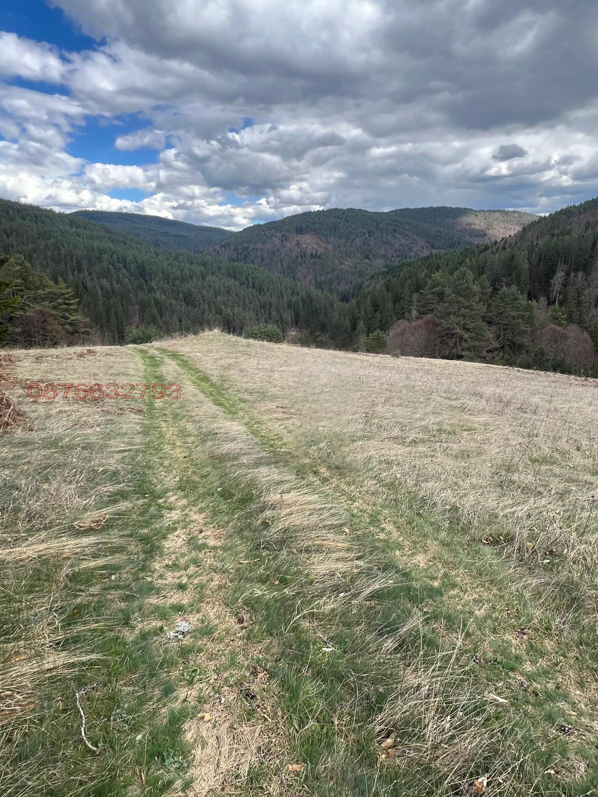 Продава ПАРЦЕЛ, с. Сатовча, област Благоевград, снимка 10 - Парцели - 54024973