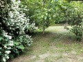 Продава 3-СТАЕН, град София, Хиподрума • 335000 € / 655203.05 лв. • 51968539 12