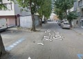 Продава  Магазин град Бургас , Център , 18 кв.м | 33892735 - изображение [3]