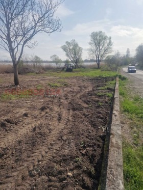 ����� ������� ������,���� ������, �-�� �������