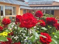 Продава  Къща област Варна , гр. Бяла , 200 кв.м | 34075213 - изображение [12]