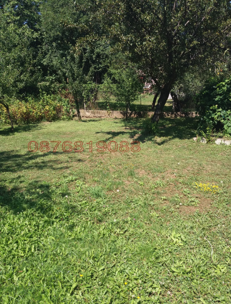 Продаја  Плот Софија , Бистрица , 973 м2 | 77900188