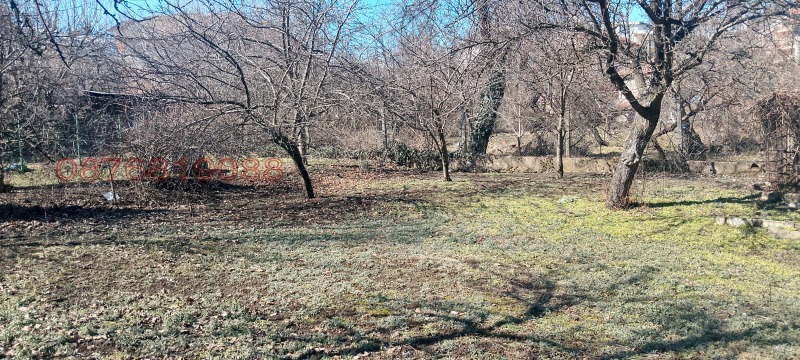Продаја  Плот Софија , Бистрица , 973 м2 | 77900188 - слика [5]