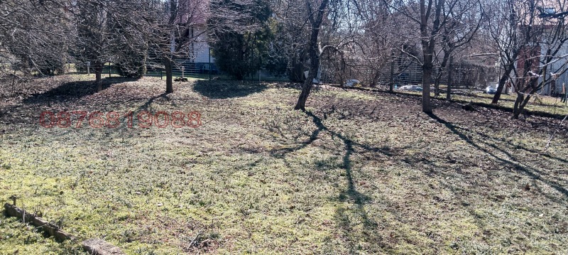 Продаја  Плот Софија , Бистрица , 973 м2 | 77900188 - слика [4]