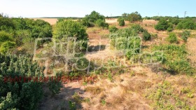 ������� ������ | Imot.bg � ����� ������ 12