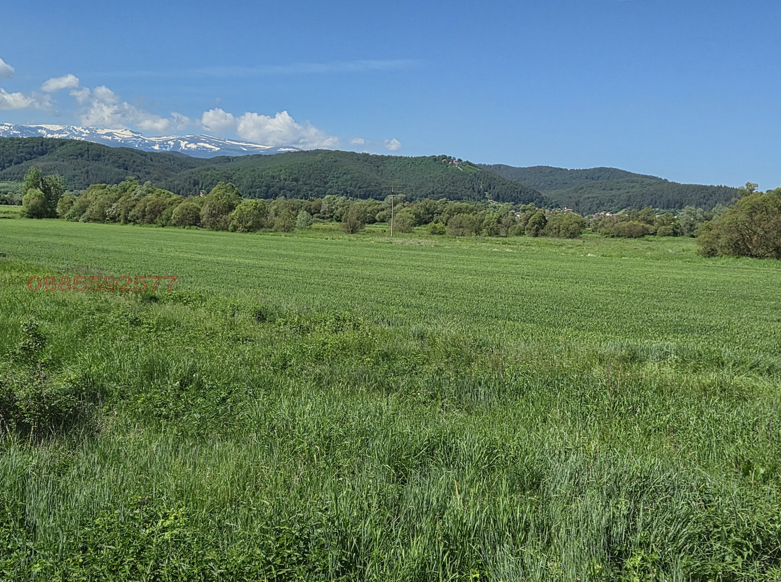 Продава ЗЕМЕДЕЛСКА ЗЕМЯ, с. Белчински бани, област София област, снимка 2 - Земеделска земя - 55015095