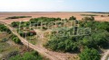 Продава ПАРЦЕЛ, с. Тюленово, област Добрич, снимка 8