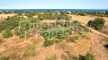Продава ПАРЦЕЛ, с. Тюленово, област Добрич, снимка 10