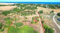 Продава ПАРЦЕЛ, с. Тюленово, област Добрич, снимка 5