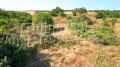 Продава ПАРЦЕЛ, с. Тюленово, област Добрич, снимка 12